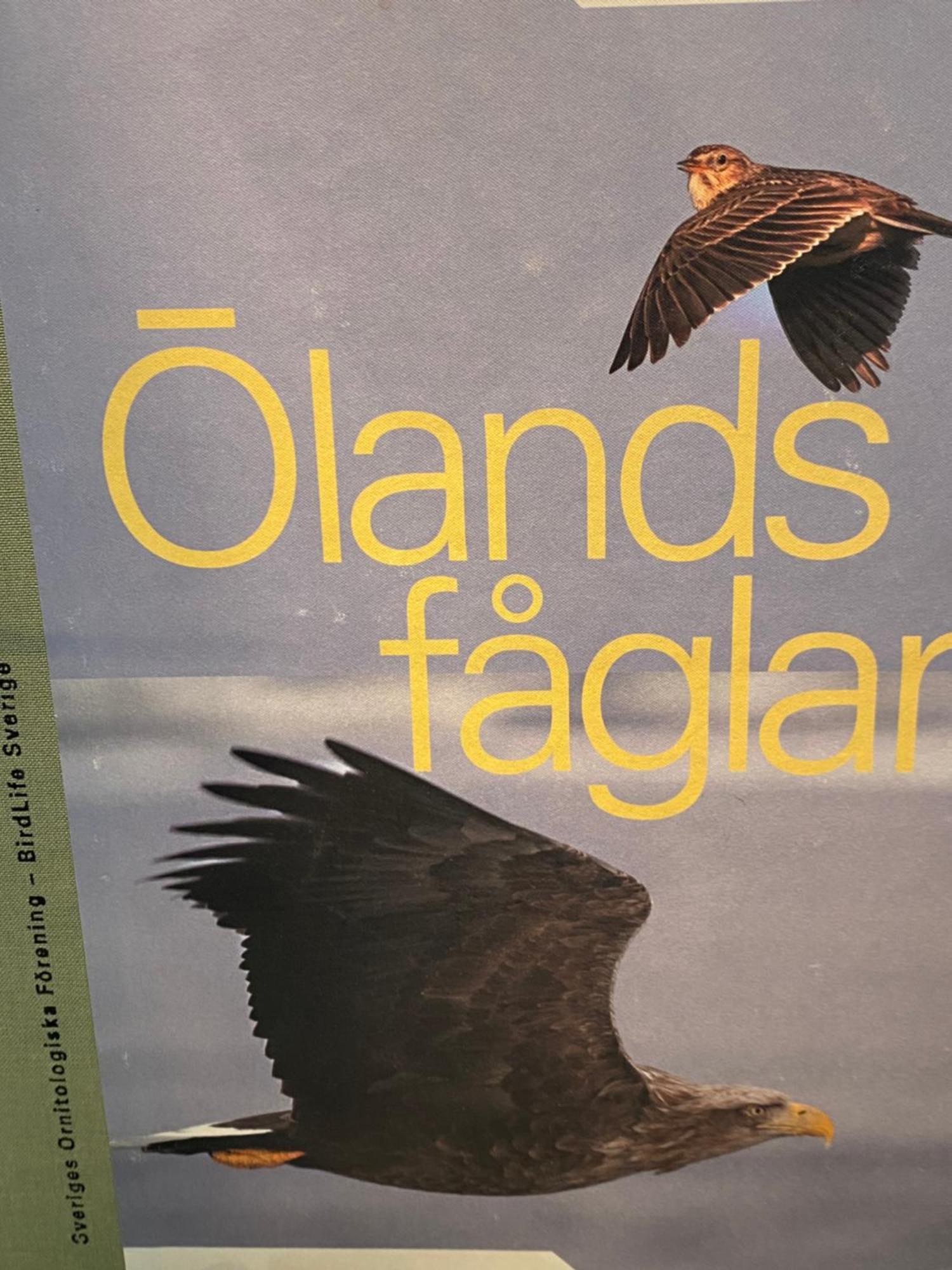 דירות Färjestaden Idyliska Boende Mitt Pa Oeland מראה חיצוני תמונה